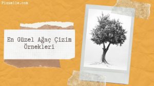 ağaç-çizim-örnekleri