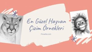 hayvan-çizim-örnekleri
