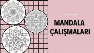 mandala-çalışmaları