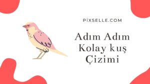 adım-adım-kolay-kuş-çizimi