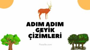 adim-adim-geyik-cizimi