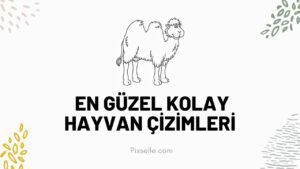 en-güzel-kolay-hayvan-çizimleri