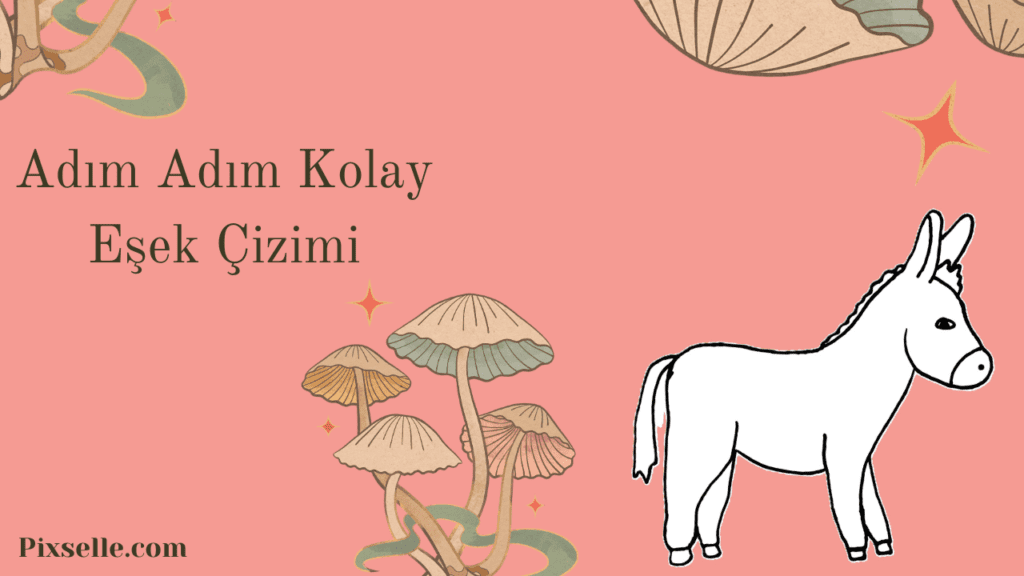 Adım Adım Kolay Eşek Çizimi - Pixselle